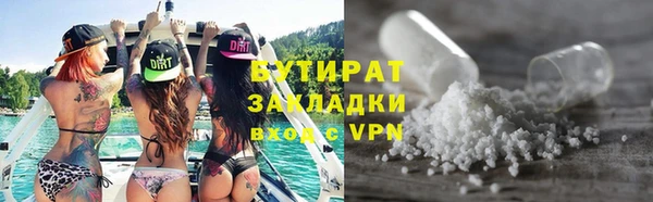 сатива Новодвинск