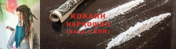 сатива Новодвинск