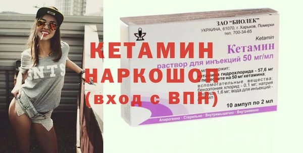 твердый Новозыбков