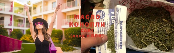 сатива Новодвинск