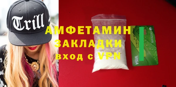 твердый Новозыбков