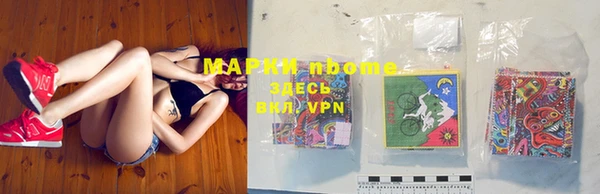 твердый Новозыбков
