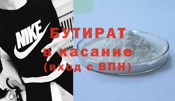 сатива Новодвинск