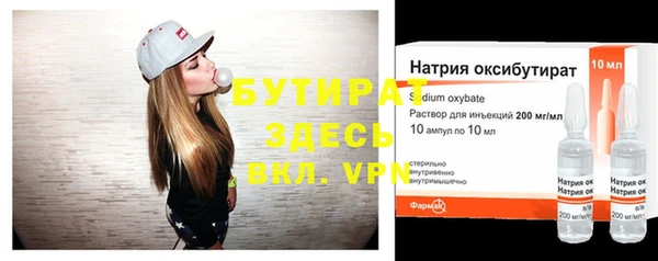 твердый Новозыбков