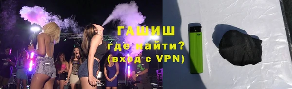 сатива Новодвинск