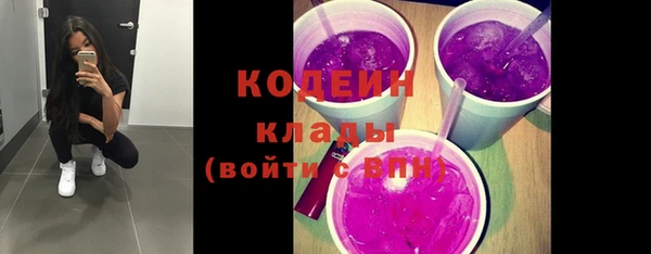 твердый Новозыбков