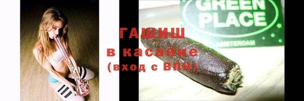 твердый Новозыбков