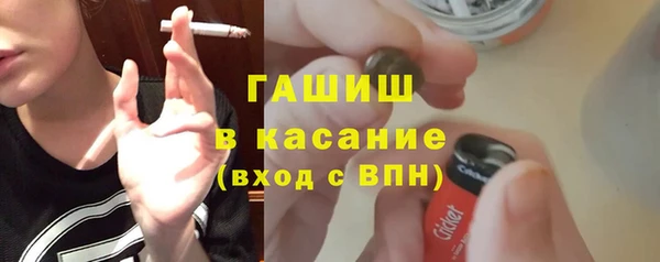 твердый Новозыбков