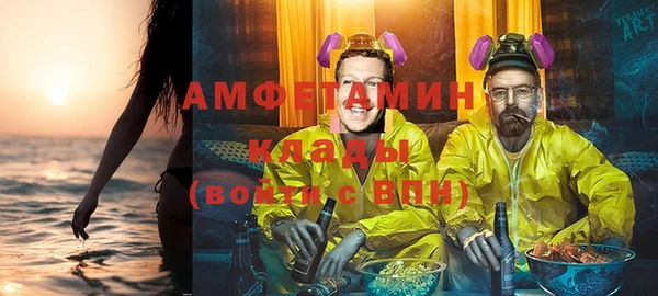 сатива Новодвинск