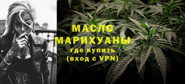 сатива Новодвинск