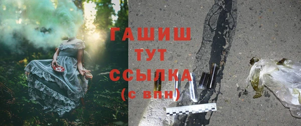 твердый Новозыбков