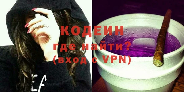 твердый Новозыбков