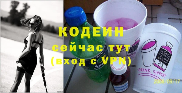 сатива Новодвинск