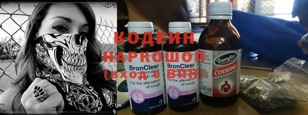 сатива Новодвинск