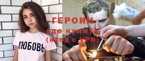 сатива Новодвинск