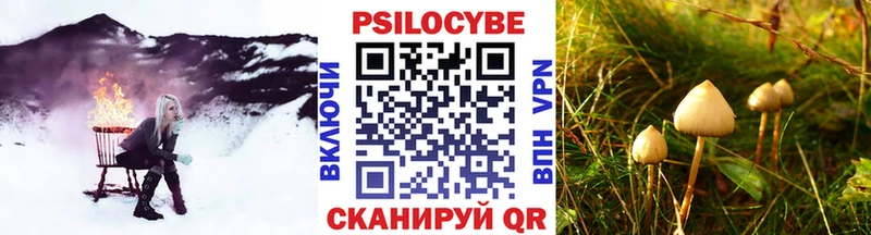 площадка формула  Первоуральск  Псилоцибиновые грибы мухоморы 